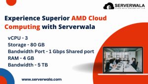 Experience Superior Amd Cloud Computing With Serverwala