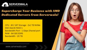 Supercharge Your Business With Amd Dedicated Servers From Serverwala!