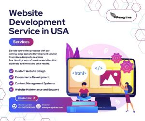 Peregrinee: The Best Website Development Service In Usa